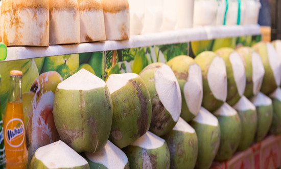 植物饮料行业市场发展及投资潜力分析2024