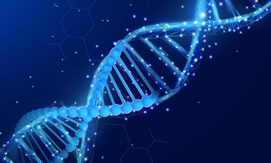 基因测序产业发展现状及企业格局分析 基因测序市场规模也将不断增长