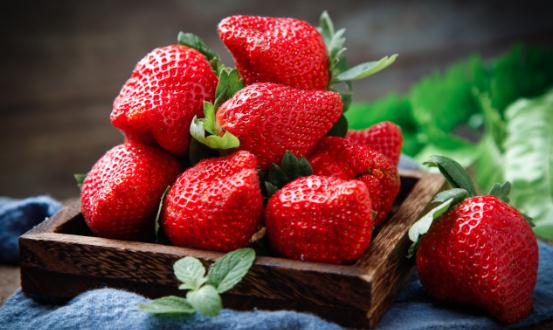 草莓价格大幅跳水 草莓栽培行业发展现状分析