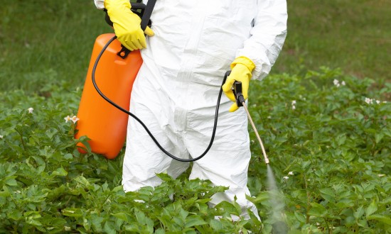 年内最大振幅5.05% 2023年中国草甘膦行业发展趋势