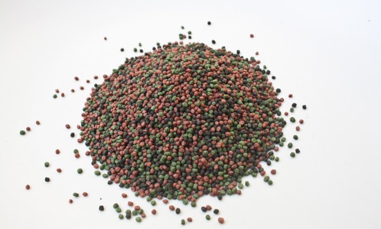 2024年中国水产饲料行业现状及发展趋势