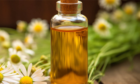 元宝枫籽及提取物行业市场深度分析