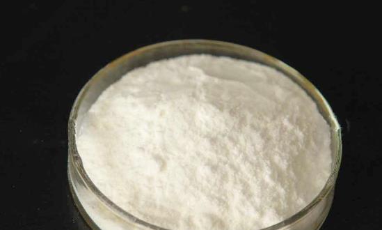 2024乳糖行业深度调研与投资机会