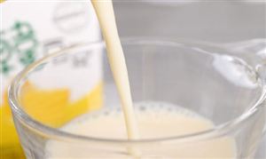 2023年豆奶行业市场发展面临的挑战及机遇分析