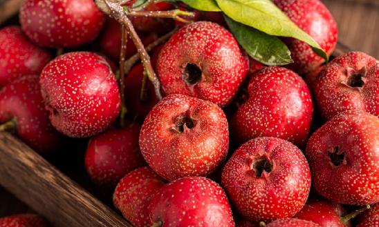 山楂行业现状及行业发展趋势分析2023