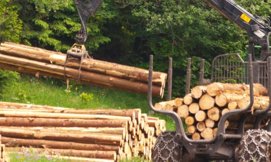 我国林业机械行业竞争激烈程度较高   林业机械行业市场分析