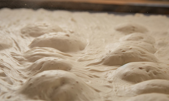 发酵菌种行业发展状况及市场前景分析