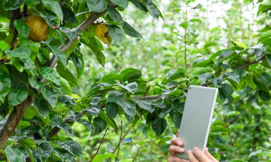 我国直销产业发展趋势：未来中国直销行业市场规模将会继续扩大​