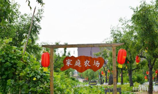 家庭农场行业发展现状分析及市场环境