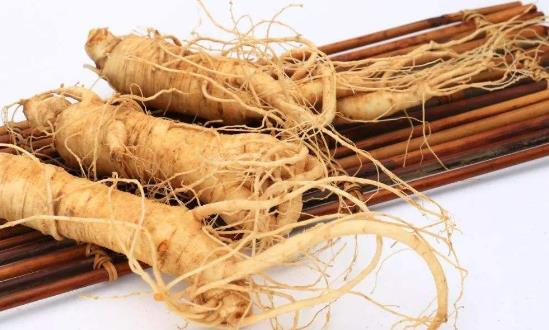 人参种植市场格局及发展前景研究