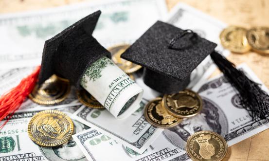 留学服务市场产业链也逐渐庞大 2024留学服务行业市场调研