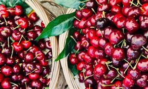 车厘子将大降价吗 一斤便宜 近九成的智利车厘子出口到我国 车厘子市场调研