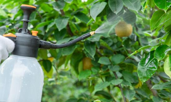  生物农药行业市场分析：据测算全球生物农药市场2031年达120亿美元以上