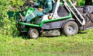 2024年园林工具行业发展现状及发展趋势