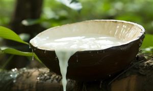 我国橡胶资源短缺难题有望解决 橡胶行业发展现状分析2024