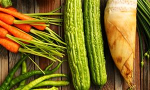 目前全球膳食纤维素市场稳定发展 预计未来五年全球膳食纤维市场复合年均增长率将达到7%