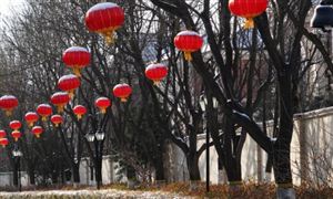 文化地产成为国内房企转型的重要方向之一​