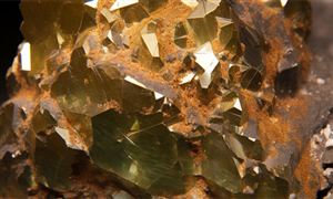 OLED板块震荡走强2024OLED行业深度调研及进出口市场分析(图2)