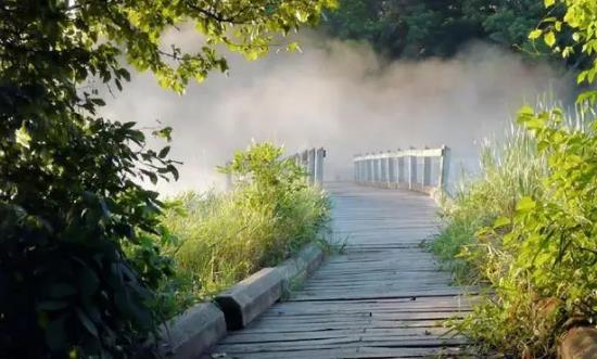 5G行业发展为超高清视频发展带来机遇 