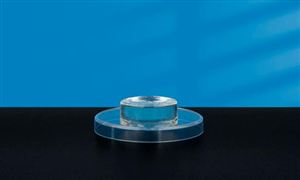 2024胶原蛋白市场发展环境与机会：重组胶原蛋白市场潜力大