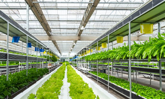 我国农资行业市场规模已达万亿元级 农资行业未来发展策略分析