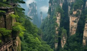 森林旅游行业市场深度调研 每年以10%以上的增长速度发展