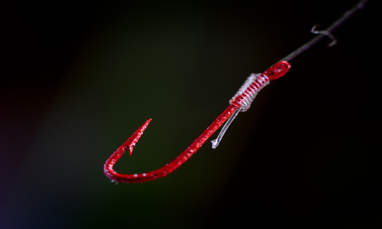 钓具市场需求及投资策略分析研究报告2024