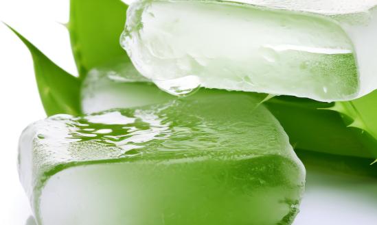 我国芦荟制品产值10年内将达80亿元以上,开发利用前景广阔​
