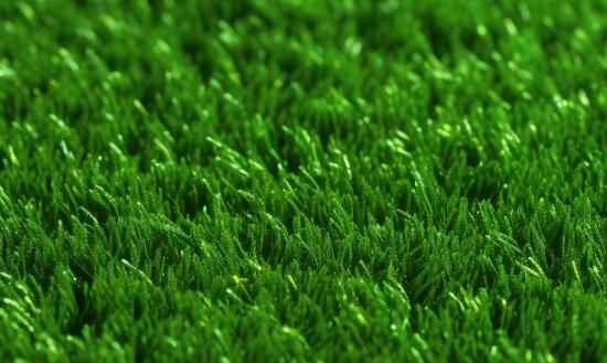 人造草坪企业数量越来越多  市场正面临着供给与需求的不对称  人造草坪产业市场分析
