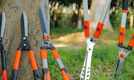 2024园林工具行业前景研究与市场环境：我国园林工具市场规模持续增长