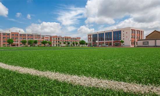 2024人造草坪行业市场需求及未来发展机遇分析