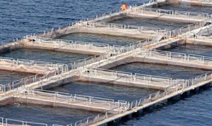 2024海洋经济行业未来发展趋势及规划分析