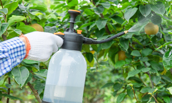 生物农药具备极大的发展空间 生物农药行业市场投资前景分析