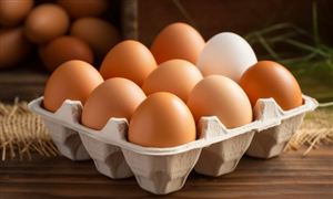 第五届中国鸡蛋产业大会成功召开 鸡蛋行业发展现状及发展趋势分析