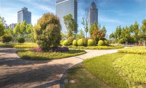 社区服务市场发展趋势及投资机遇分析2024