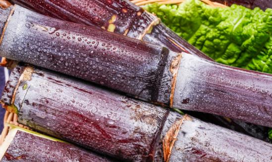 目前我国甘蔗产业只实现了40%左右的机械化  我国甘蔗产业​市场分析