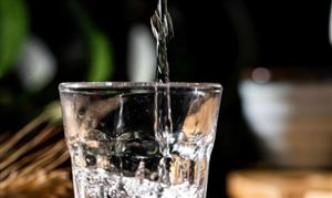 2023年以来随着消费场景的复苏  白酒行业动销恢复明显