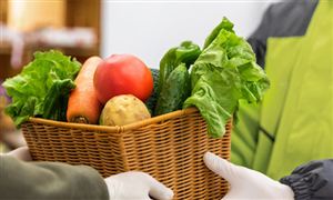 多多买菜的本地生活业务关闭 生活服务O2O模式行业发展分析