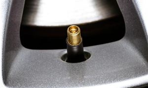 电子气门嘴产业深度调研及未来发展前景预测