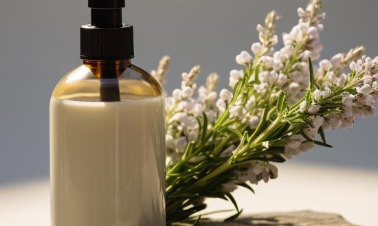 洗发水产品的主要潮流是向中高档次、功能性、成份天然化方向发展