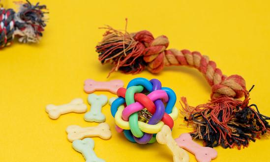 宠物用品及服务行业分析：未来宠物牵引用具有望成为增速较快的宠物用品品类