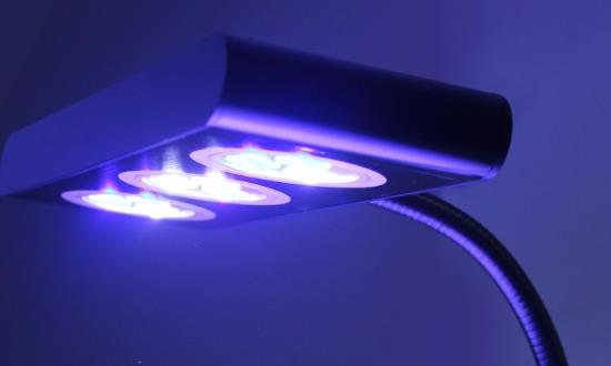 LED灯行业市场深度调研：预计2026年LED照明市场规模将增至7000多亿元