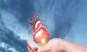 器官移植市场前景机遇深度调研分析2024