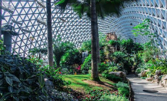 植物园行业报告 中国植物园行业发展现状调研分析