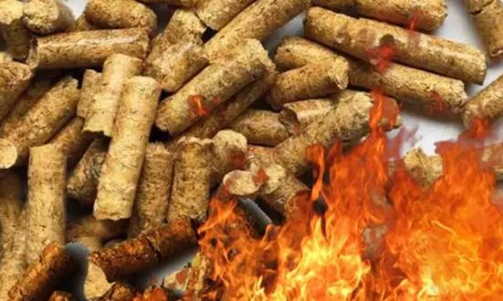 2024生物质能源行业深度调研：生物质能发电产业前景可期