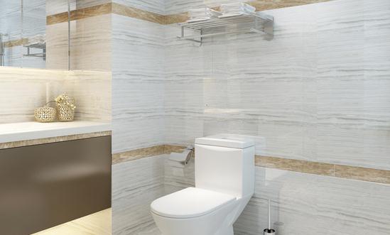 智能马桶行业现状及发展前景：中老年群体会成为未来市场增长的中坚力量