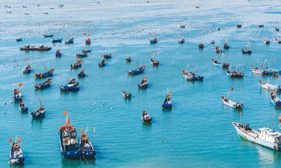 2024渔船行业发展现状分析 渔船行业进出口市场分析