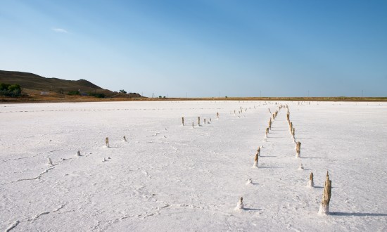 2024年中国氯碱行业市场现状及行业发展趋势