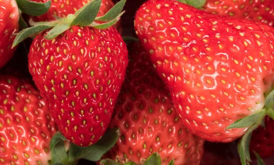 中国草莓产量呈现逐年上涨的态势  草莓种植产业现状分析