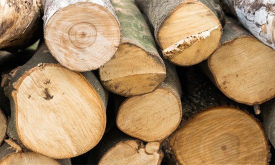 2024中国锯材行业市场变化趋势及发展分析